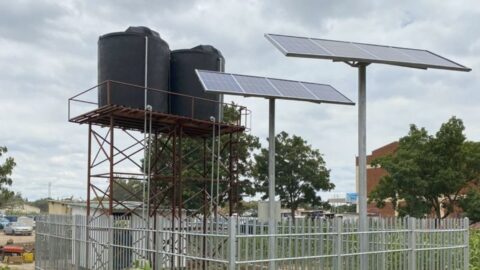 Des puits solaires apaisent la cohabitation avec la faune