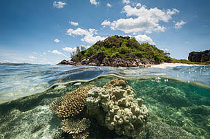 Un programme pour intégrer la biodiversité marine à la gestion côtière