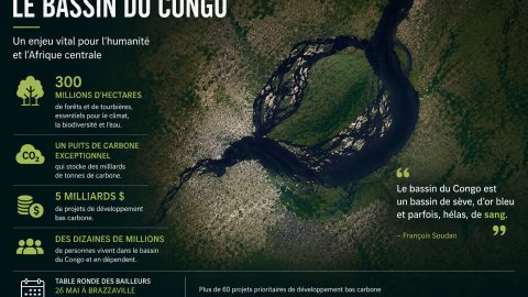 Bassin du Congo : un réservoir de vie entre promesses climatiques et tensions locales