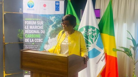 Brazzaville accueille le premier Forum sur le marché régional du carbone du Bassin du Congo