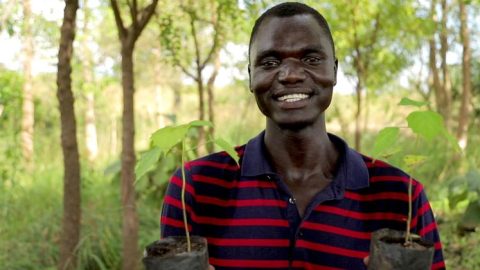 Dans les camps de réfugiés ougandais, un jeune Sud-Soudanais mène un combat pour le reboisement