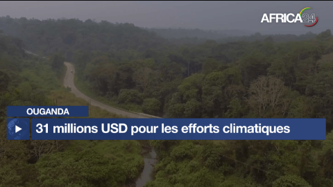 L&rsquo;Ouganda reçoit 31 millions de dollars du Fonds vert pour le climat pour la protection de ses forêts