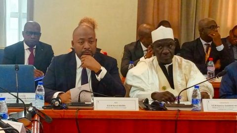 La Centrafrique réaffirme son engagement pour la gestion durable des forêts du Bassin du Congo