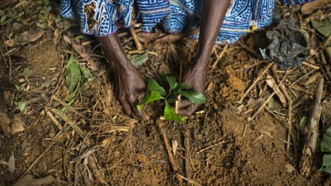 Le Cameroun intègre pour la première fois le climat dans son budget national