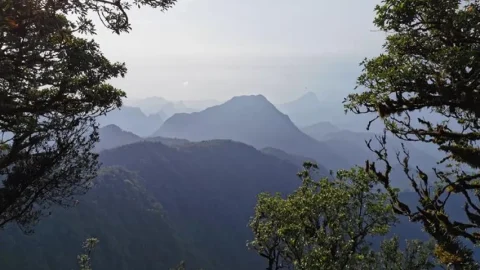 L&rsquo;île de Bioko, en Guinée équatoriale, devient la première réserve de biosphère du pays classée par l&rsquo;UNESCO