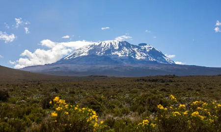 Tanzanie : le Kilimandjaro a perdu 75 % de ses espèces végétales naturelles en un siècle