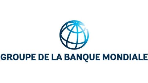 Un rapport de la Banque mondiale évalue le capital forestier du Cameroun à 37 200 milliards de FCFA