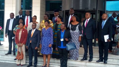 Initiative mondiale sur les tourbières : la réunion des experts s&rsquo;ouvre à Brazzaville